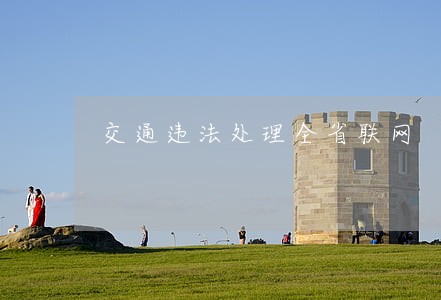 交通违法处理全省联网 交通违法处理全省联网