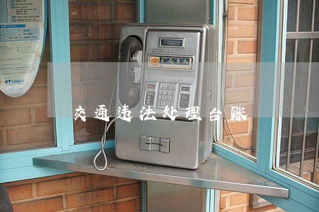 交通违法处理台账 交通违法处理台账