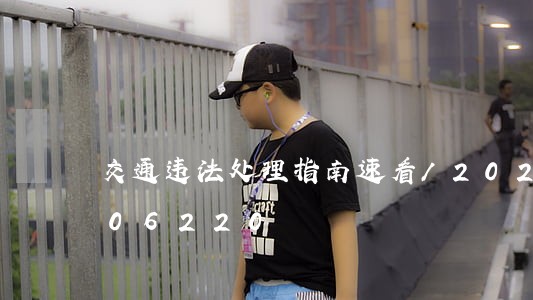 交通违法处理指南速看/2023020206220 交通违法处理指南速看/2023020206220