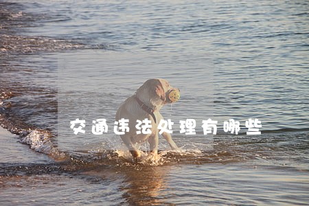 交通违法处理有哪些 交通违法处理有哪些
