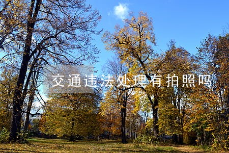 交通违法处理有拍照吗 交通违法处理有拍照吗