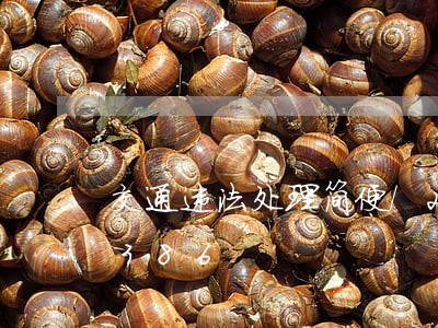交通违法处理简便/2023020272386 交通违法处理简便/2023020272386