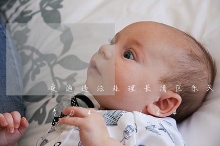 交通违法处理长清区乐天小区/2023020414664 交通违法处理长清区乐天小区/2023020414664