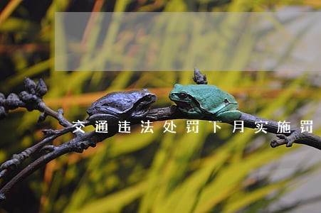 交通违法处罚下月实施罚缴分离 交通违法处罚下月实施罚缴分离