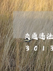 交通违法处罚决定书是处罚谁的钱/2023013026008 交通违法处罚决定书是处罚谁的钱/2023013026008