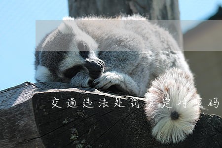 交通违法处罚决定对照码 交通违法处罚决定对照码