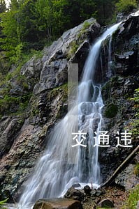 交通违法处罚单多久进系统 交通违法处罚单多久进系统