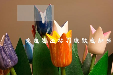交通违法处罚缴款通知书怎么缴款 交通违法处罚缴款通知书怎么缴款