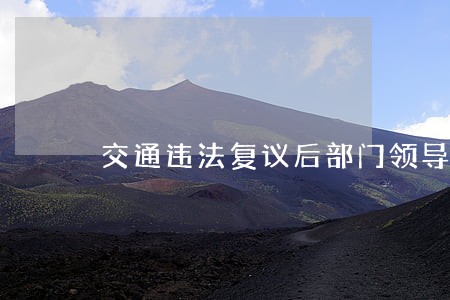 交通违法复议后部门领导也签字了 交通违法复议后部门领导也签字了