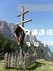 交通违法大曝光落实情况/2023020341386 交通违法大曝光落实情况/2023020341386