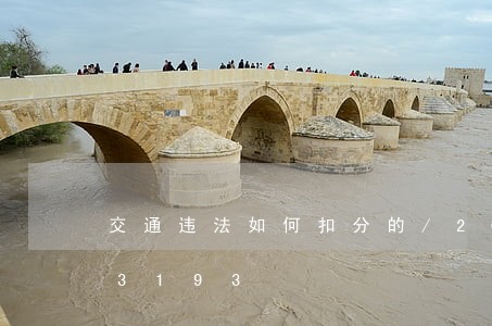 交通违法如何扣分的/2023012553193 交通违法如何扣分的/2023012553193