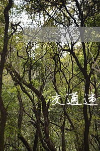 交通违法学习教育上面的积分 交通违法学习教育上面的积分