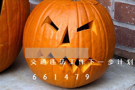 交通违法工作下一步计划/2023012661479 交通违法工作下一步计划/2023012661479