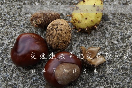 交通违法异地交罚款可以吗/2023020471054 交通违法异地交罚款可以吗/2023020471054
