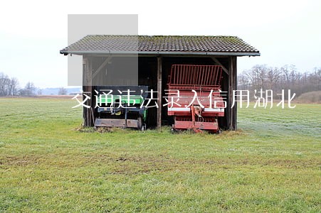 交通违法录入信用湖北