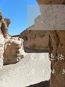 交通违法录入的要求/2023012658943 交通违法录入的要求/2023012658943