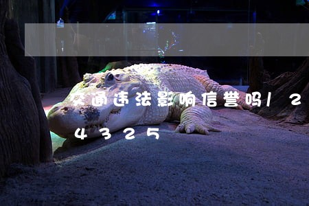 交通违法影响信誉吗/2023020364325 交通违法影响信誉吗/2023020364325