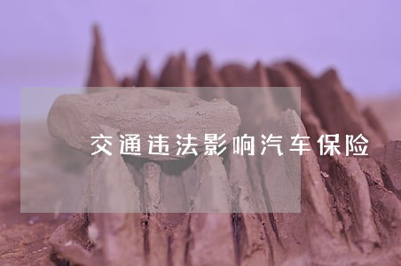 交通违法影响汽车保险
