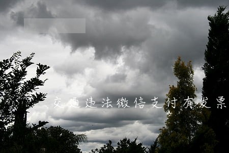 交通违法微信支付有发票