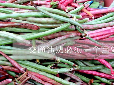 交通违法必须一个月处理吗 交通违法必须一个月处理吗