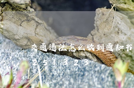 交通违法怎么收到通知书/2023020251323 交通违法怎么收到通知书/2023020251323