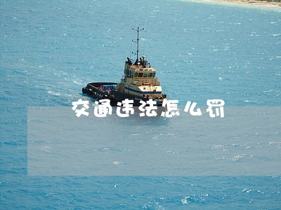 交通违法怎么罚
