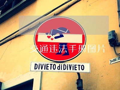 交通违法手册图片 交通违法手册图片
