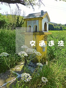 交通违法扣分罚款依据 交通违法扣分罚款依据