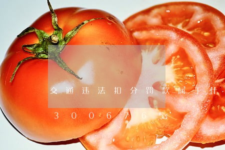 交通违法扣分罚款属于什么/2023013006765 交通违法扣分罚款属于什么/2023013006765