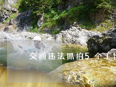 交通违法抓拍5个工作日 交通违法抓拍5个工作日
