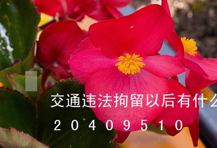 交通违法拘留以后有什么影响/2023020409510 交通违法拘留以后有什么影响/2023020409510