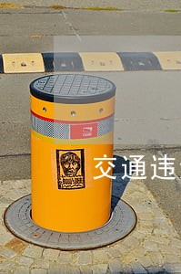 交通违法挂钩个人信用应谨慎分析 交通违法挂钩个人信用应谨慎分析