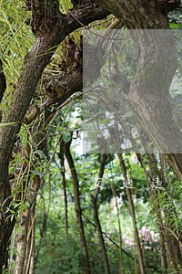 交通违法提示单 交通违法提示单