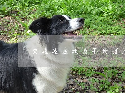 交通违法放着不处理没什么 交通违法放着不处理没什么