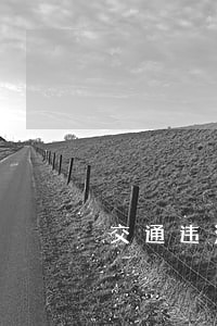 交通违法是造成交通事故的主因 交通违法是造成交通事故的主因