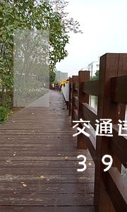 交通违法是马上拘留吗/2023020439509 交通违法是马上拘留吗/2023020439509