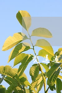 交通违法曝光台丨迷茫到不知所措 交通违法曝光台丨迷茫到不知所措