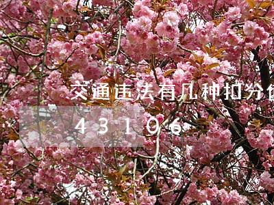 交通违法有几种扣分值/2023020443106 交通违法有几种扣分值/2023020443106