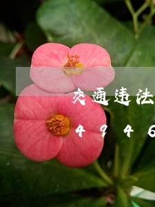 交通违法未处理不给验车/2023020494693 交通违法未处理不给验车/2023020494693