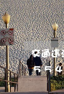 交通违法查询在哪里查/2023020455499 交通违法查询在哪里查/2023020455499