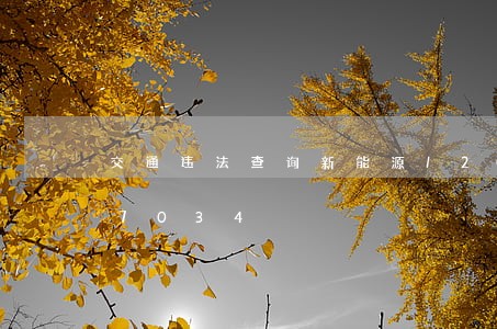 交通违法查询新能源/2023020477034 交通违法查询新能源/2023020477034