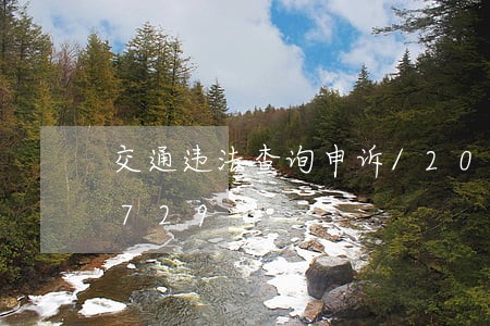 交通违法查询申诉/2023020480729 交通违法查询申诉/2023020480729