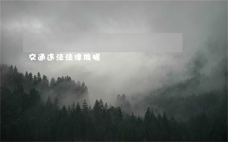 交通违法法律依据