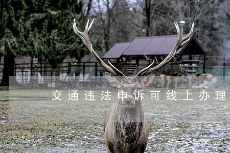 交通违法申诉可线上办理