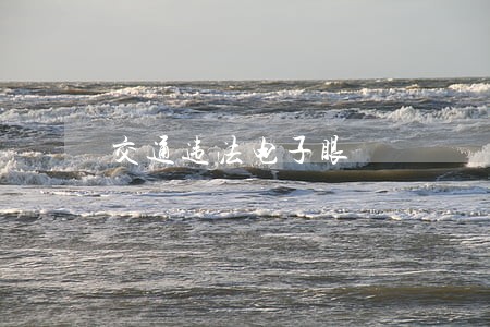 交通违法电子眼