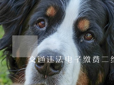 交通违法电子缴费二维码 交通违法电子缴费二维码