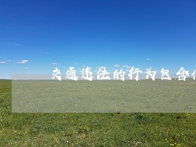 交通违法的行为包含什么 交通违法的行为包含什么
