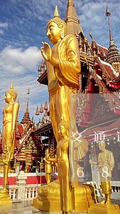 交通违法的追诉期限/2023012676887 交通违法的追诉期限/2023012676887