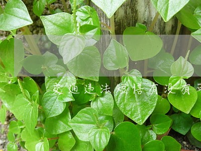 交通违法短信有没有可能发错 交通违法短信有没有可能发错