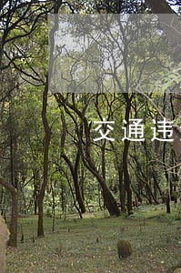 交通违法第三部在线学习怎么填 交通违法第三部在线学习怎么填